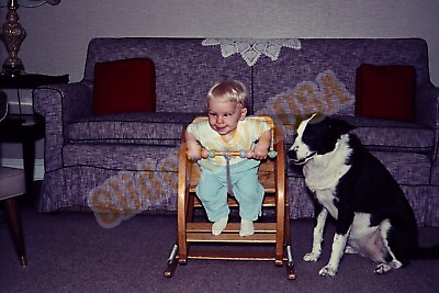 #ad Vtg 1964 Photo Slide Child Rocking Chair Dog Couch X3S002 $7.50