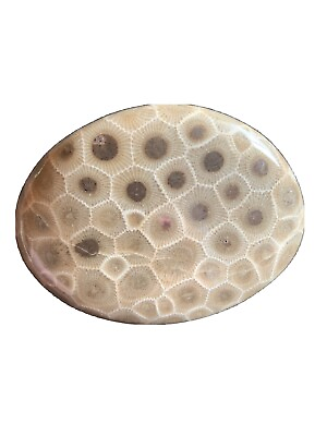 #ad Hand polished Petoskey Stone Med size. Semi precious treasure gift fossil $85.00