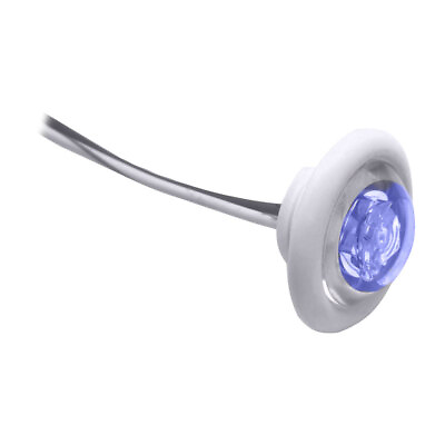 #ad Innovative Lighting LED Bulkhead Livewell Light The Shortie Blue LED w White .. $20.69