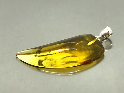 #ad Baltic AMBER PENDANT Tusk Insect Gift Fossil Tooth AMBER Silver 925 33g 17273 $37.84