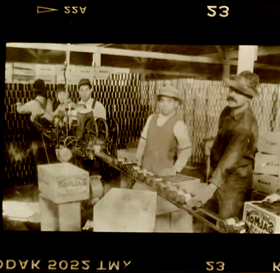 #ad Assembly Line For Drinks Acme Logging Camp Washington Early 1900s negative film $26.40