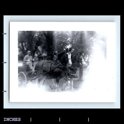 #ad Vintage Photo MEN IN HORSE DRAWN CART CLYDESDALE DREAMY GHOST LIGHT $6.00