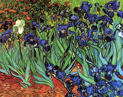 #ad Irises by Vincent Van Gogh art painting print $7.99