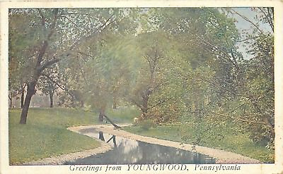 #ad Youngwood Pennsylvania Greetings Mill Race Park Scene 1923 Postcard $6.00