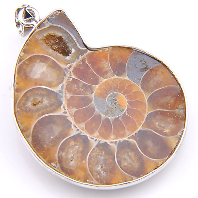 #ad Xmas Holiday Jewelry Gift Natural Ammonite Fossil Gems Silver Necklace Pendant $8.24