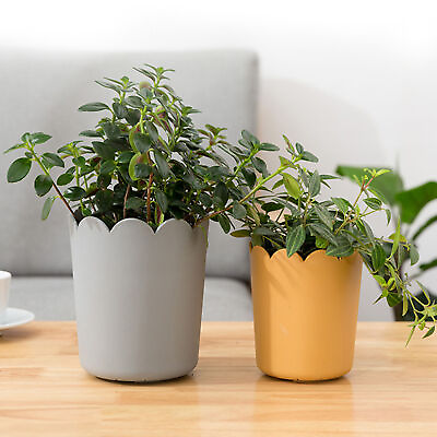 #ad Potted Plant Holder Flower Holder Gift Flower Comtainer Wear resistant $22.94