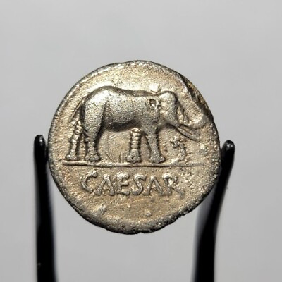 #ad ANCIENT ROME Julius CAESAR 49 BC ELEPHANT Military Mint NGC CH F AR Denarius $1647.00