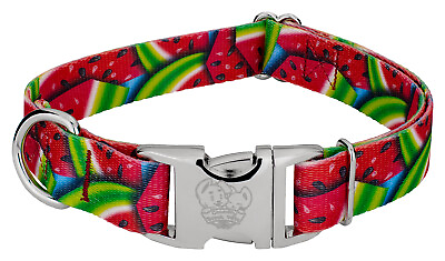 #ad Country Brook Petz® Premium Summer Melon Dog Collar $17.97