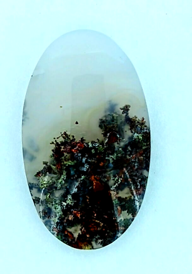 #ad 38ct Natural Moss Agate Oval Cabochon Landscape Loose Untreated Unheated $19.35