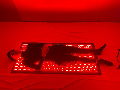 #ad 2023Large size full body Red light therapy mat for body pain relief weight loss $299.00