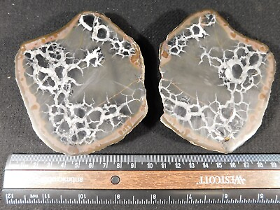 #ad Lighting Like Pattern BIG Split and Polished SEPTARIAN Nodule with Stands 487gr $17.99