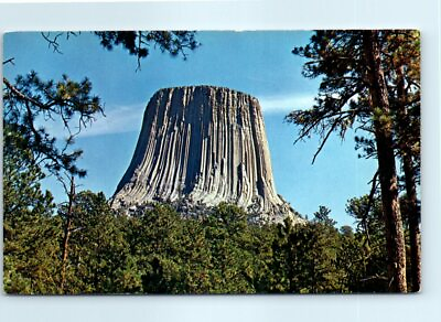 #ad Postcard Devils Tower National Monument Wyoming $3.46