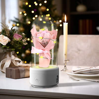 #ad Creative 2 In 1 Bouquet LED Light And Bluetooth Speaker Mother#x27;s Day Gift Rose L $45.32