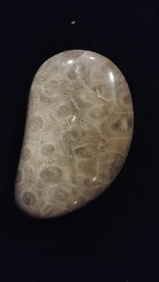 #ad Hand polished Petoskey Stone md size. Semi precious treasure gift fossil $26.00