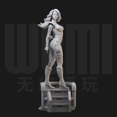 #ad Anime Phoenix 1 18 Figure 1 Unpainted GK Model 3D Printed Resin Kit 10cmH $37.99