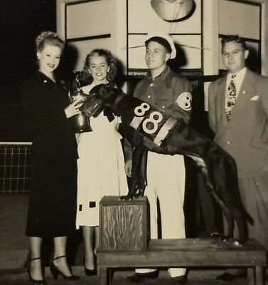 #ad Vtg Photo Beautiful Women Greyhound Racing Dog Miami Beach Kennel Club Fl 1950s $19.59