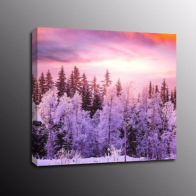#ad HD Canvas Prints Snow scenery in winter Wall Art Painting Home Decor $15.80