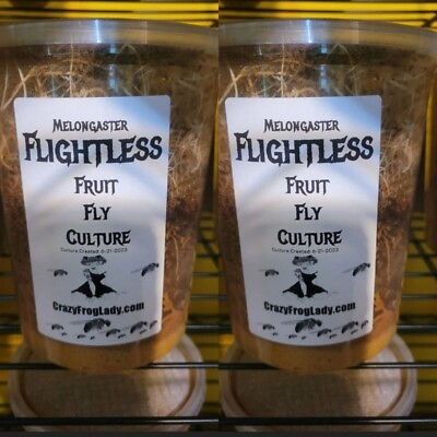 #ad Flightless Fruit Fly 2 PACK cultures Dart Frog Food Reptile Food FREE SHIPPING $26.99