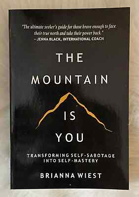 #ad #ad THE MOUNTAIN IS YOU BY BRIANNA WIEST PAPERBACK $9.18